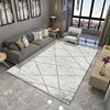 Modern Nordic Printed 10mm Ins Style Polyester Carpet Simple Atmosphere Bedroom Bedside Blanket for Living Room Floor