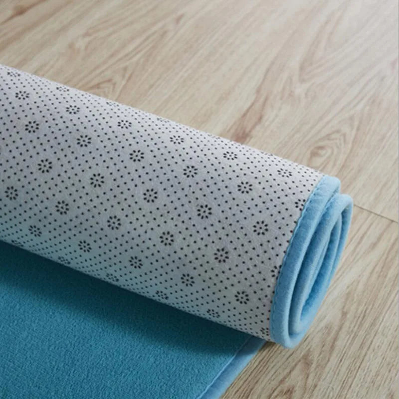 Carpet Rug