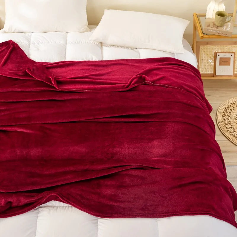 2024 Spring Coral Fleece Flannel Blanket Large Size Soft Warm Thin