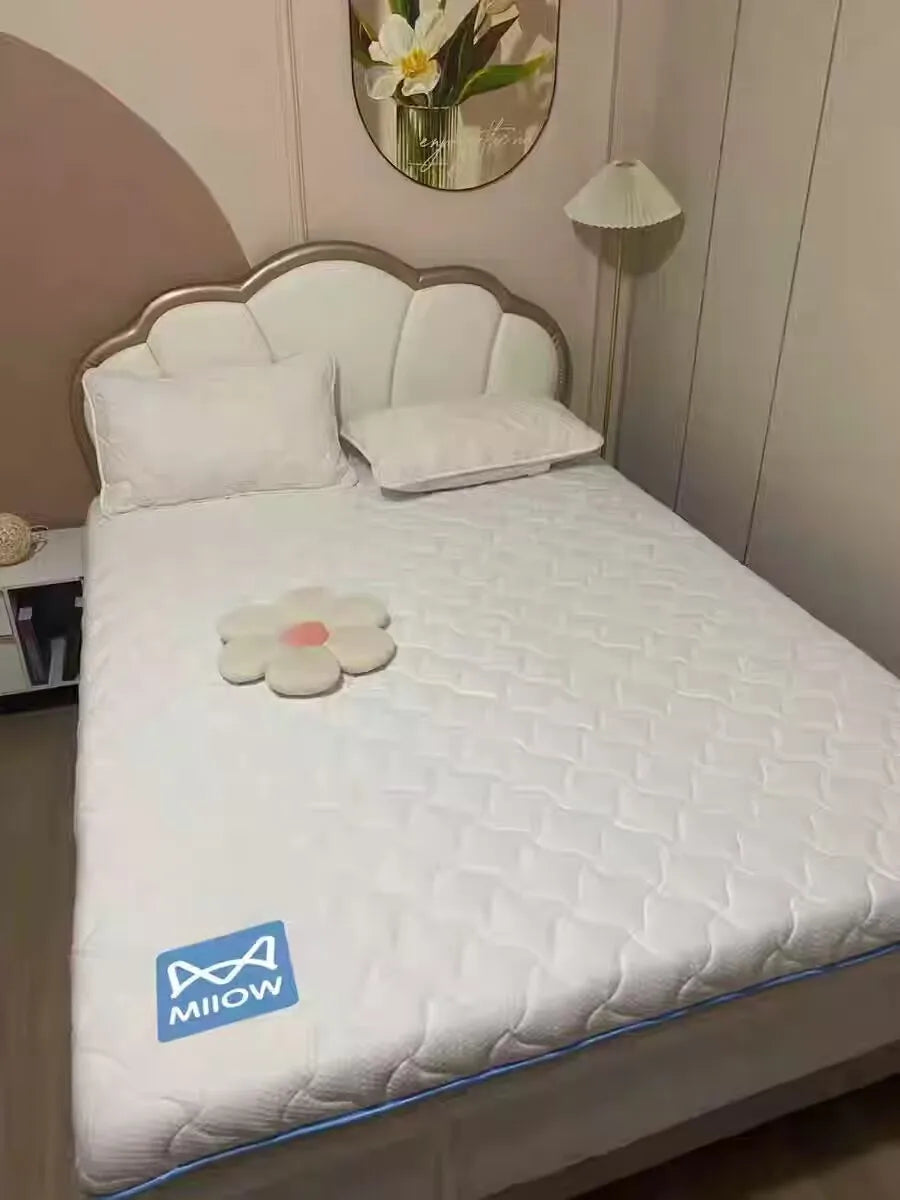 Latex Memory Foam Mattress
