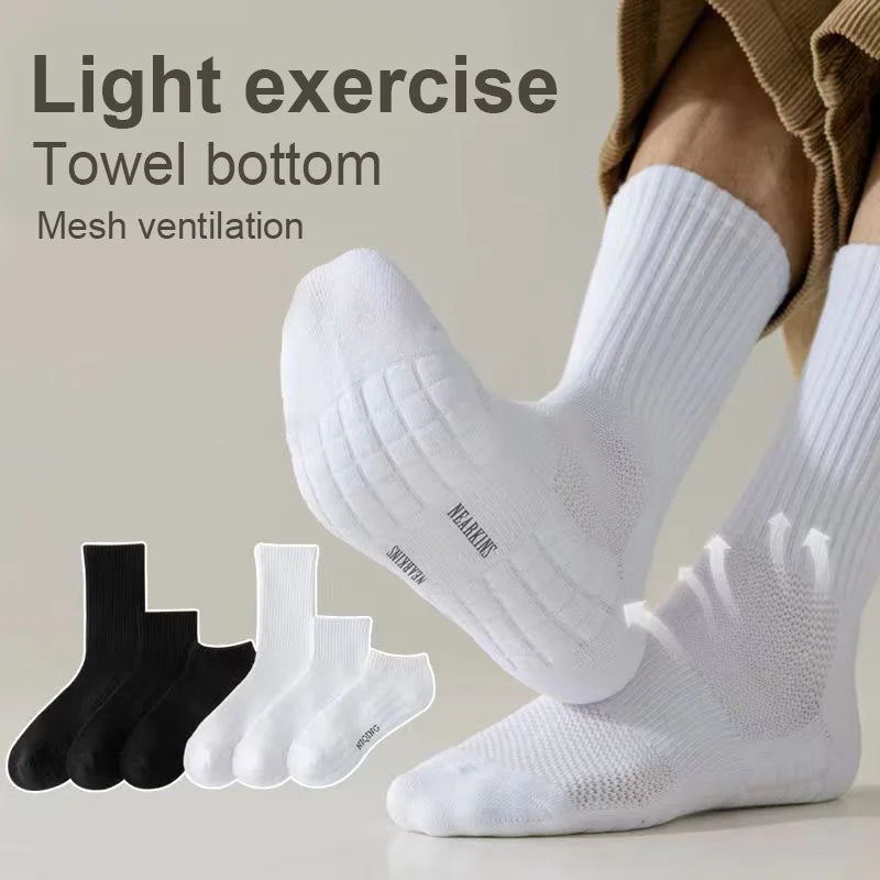 Mason Crisp Socks