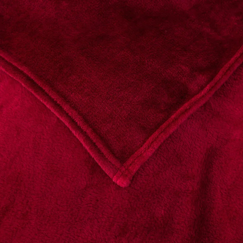 2024 Spring Coral Fleece Flannel Blanket Large Size Soft Warm Thin