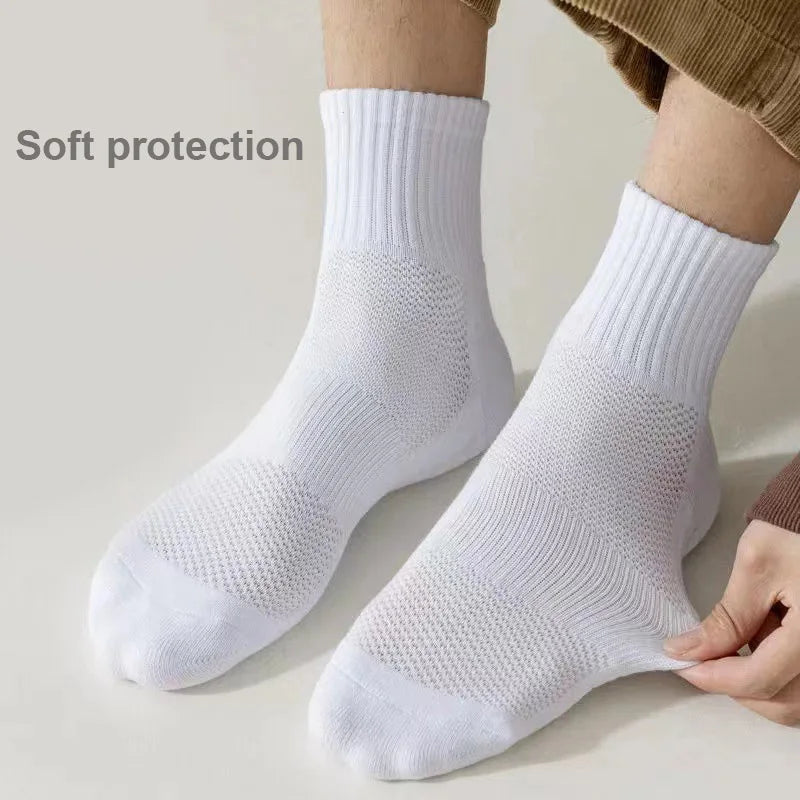 Mason Crisp Socks