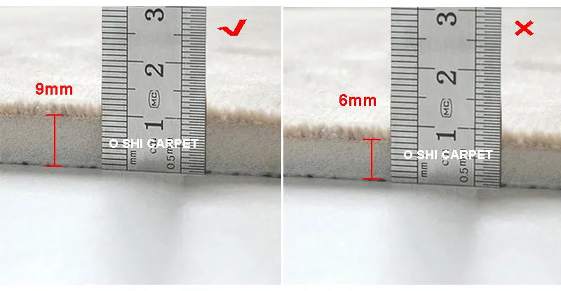 Carpet Rug