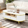 47" Fluted Coffee Table with LED Lights & Storage - Luxury Modern Oval Center Table for Living Room, Coffe Tables,Customized