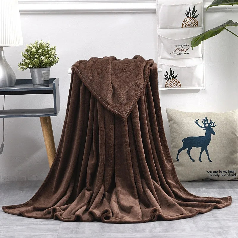 2024 Spring Coral Fleece Flannel Blanket Large Size Soft Warm Thin