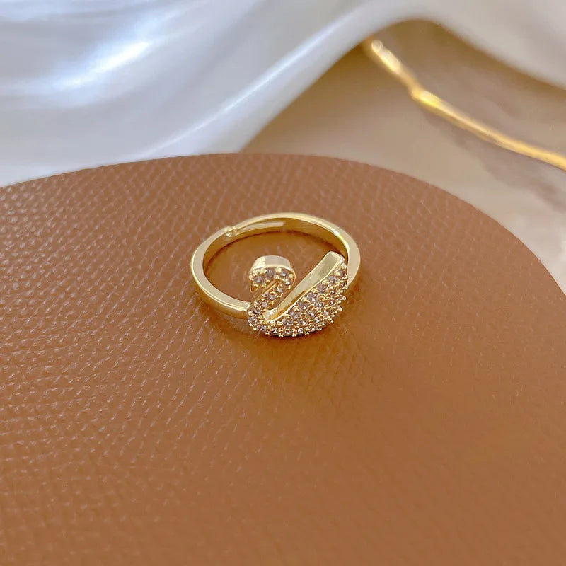Charm Full Zircon Shiny