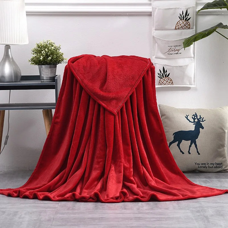 2024 Spring Coral Fleece Flannel Blanket Large Size Soft Warm Thin