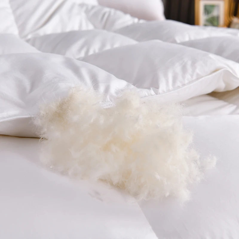 Feather Goose Down Duvet Warm Winter Thick Quilts for Single Double Couple Bed Blanket Down Filling Comforters King Queen Size