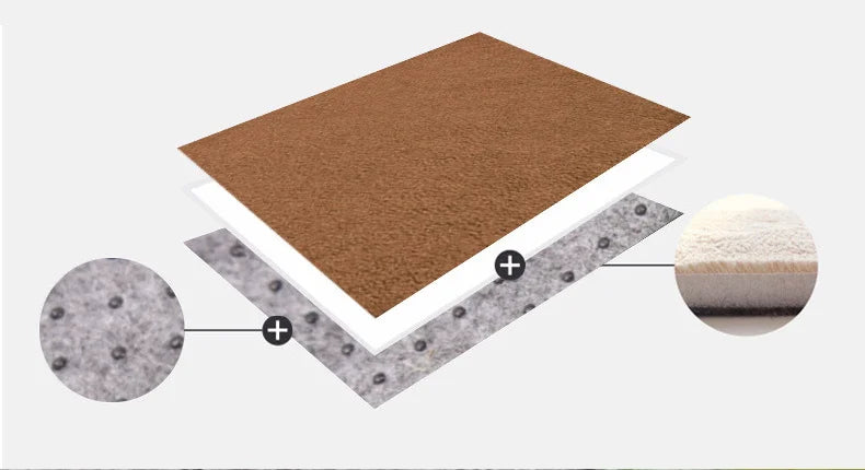 Carpet Rug